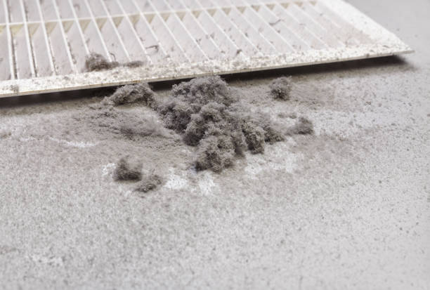 Best Air Duct Cleaning Near Me  in Fruit Cove, FL