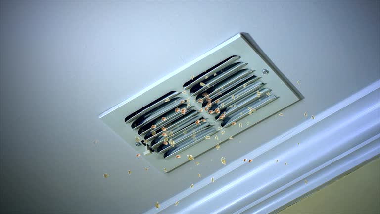 Home Air Vent Cleaning in Fruit Cove, FL