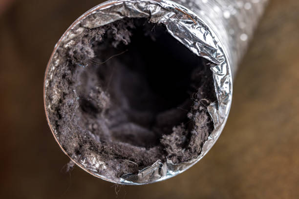 Best Best Air Duct Cleaning Company  in Fruit Cove, FL